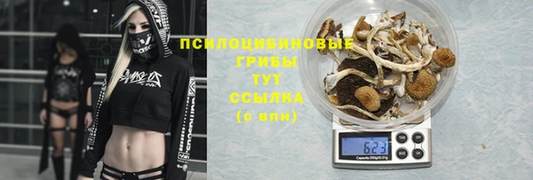 бутират Алзамай